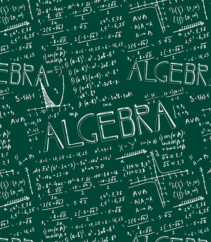 Algebra on a Daily Basis